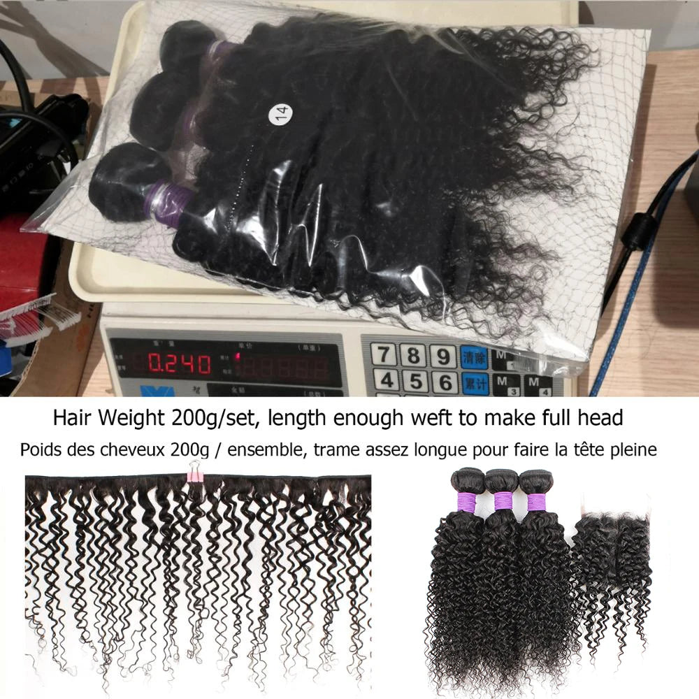 Almac Jerry Curly Bundles With Free Part 4x4 Lace Closure Indian Human Hair Extention With Light Brown Swiss Lace Pre-Plucked